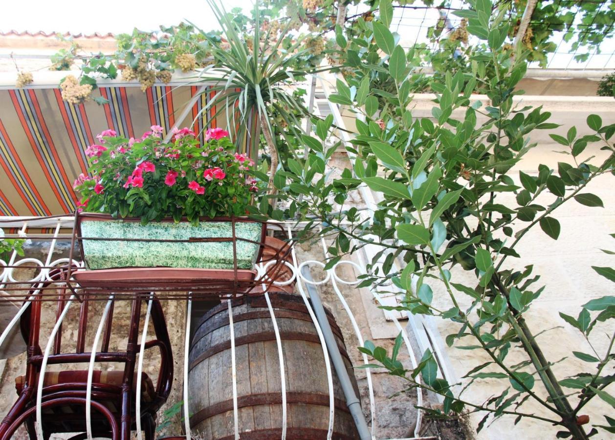 Best Location Old Town Budva Rooms Kültér fotó